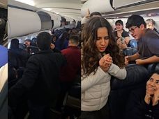 Un hámster suelto retrasó un vuelo y se volvió viral