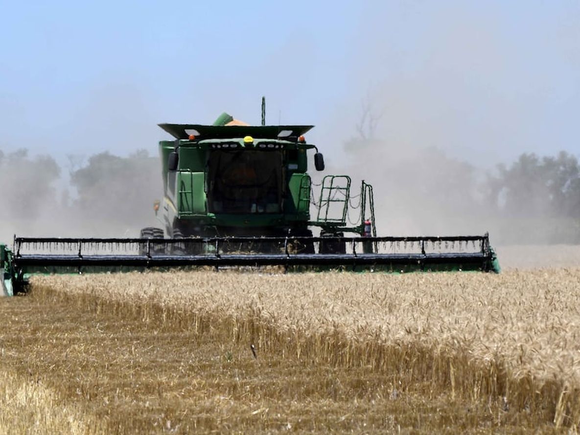 Después de enfrentar la peor cosecha desde 2015/2016, con la menor productividad desde 2009/2008, en Argentina El Niño debe impulsar la recuperación esperada para 2023/2024