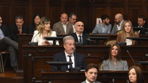 &nbsp;La intervención de Cecilia Soler llegó tras las objeciones de Ulpiano Suárez y de los senadores de la UCR mendocina.