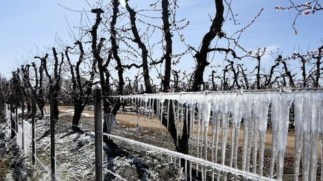 Heladas en Valle de Uco
