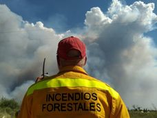 Incendios forestales en Mendoza.