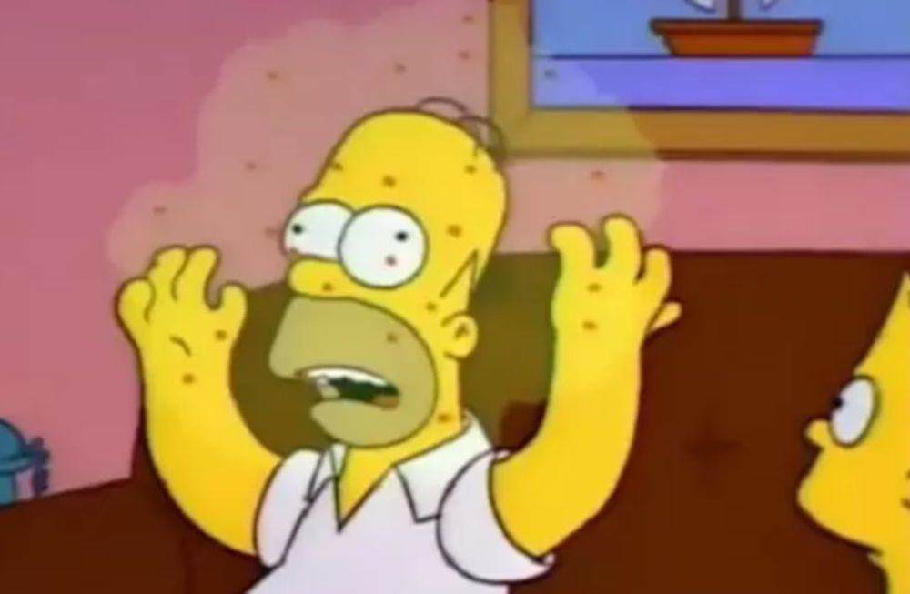 Los videos más graciosos que nos dejó este 2020 en pandemia