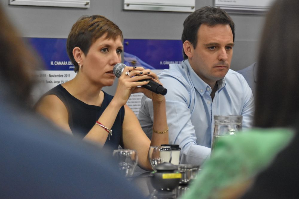 La ministra Jimena Latorre negó que Cornejo impulse la modificación de la ley de Glaciares