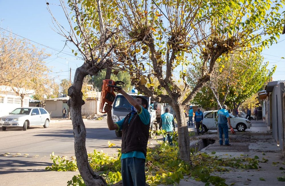 Cronograma de tareas correspondientes al área de Servicios Públicos