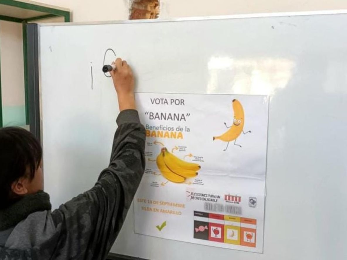 Campaña de escuela de Las Catitas.