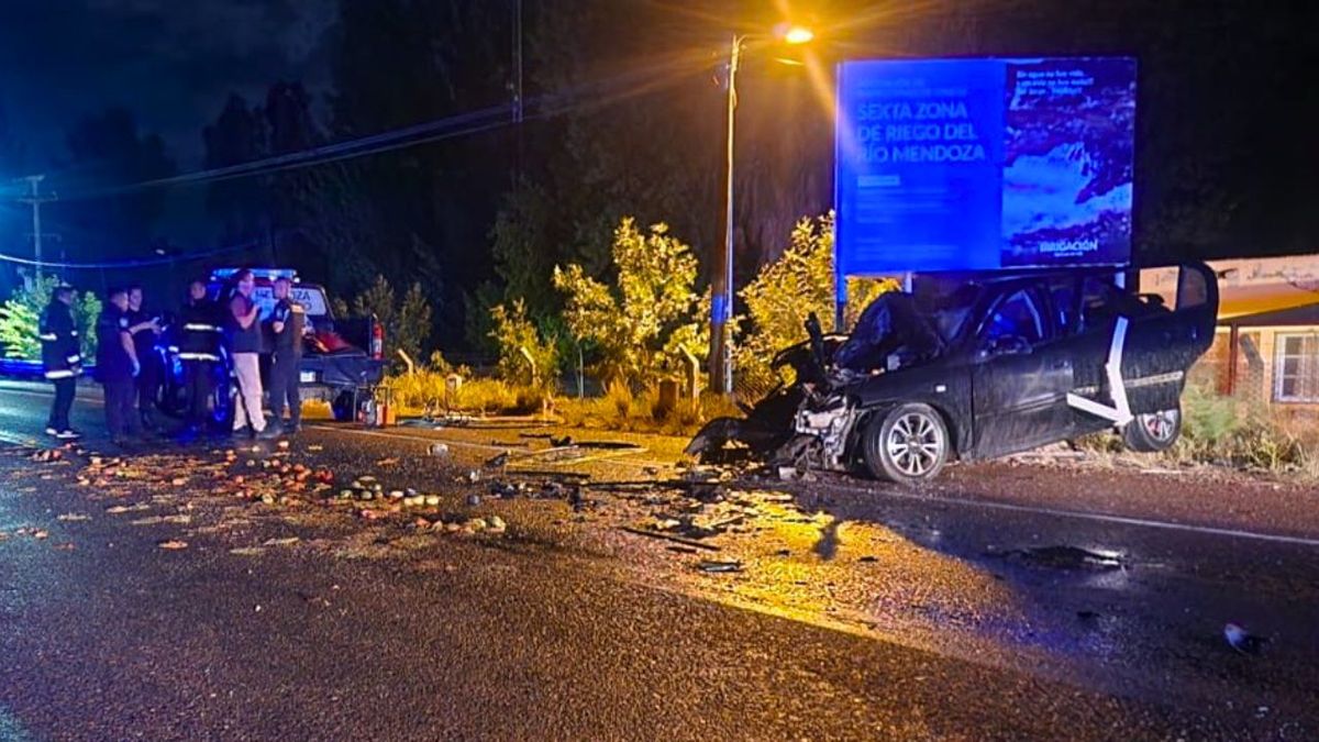 Tragedia en San Martín: una mujer y su hija murieron tras un choque frontal