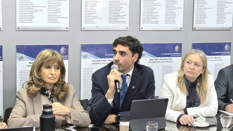 El ministro de Gobierno, Infraestructura y Desarrollo Territorial, Natalio Mema, expuso la pauta presupuestaria de su cartera para el 2027
