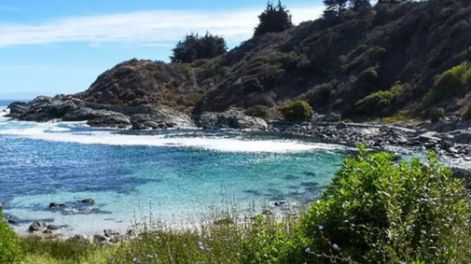 Cómo es, dónde queda y cómo llegar a Las Cujas, “el caribe chileno” ubicado a 45 kilómetros de Reñaca. Foto: Instagram @ledaypurocolor