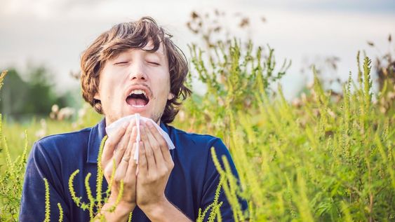 La clave para el tratamiento de las conjuntivitis alérgicas es evitar o limitar el contacto con la sustancia que las provoca.