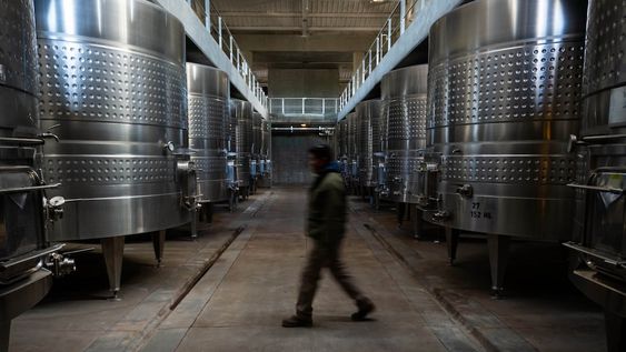 La autora lo pone como ejemplo de una privatización exitosa que termina derramando en toda la cadena vitivinícola y supone una mejora para el productor / Ignacio Blanco