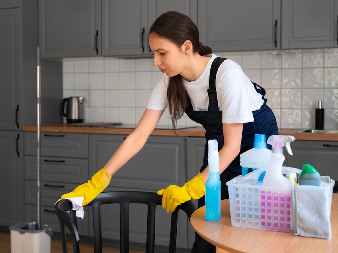 El Gobierno oficializó un aumento a las empleadas domésticas.