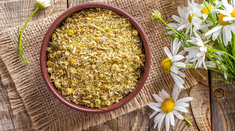 La planta que favorece la digestión, te ayuda a dormir como un bebé y aumenta las defensas