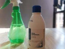 Este truco casero para las plantas no daña el entorno pero si puede provocar daños en la piel si no se utilizan guantes al rociar el agua y el vinagre. Este truco casero para las plantas no daña el entorno pero si puede provocar daños en la piel si no se utilizan guantes al rociar el agua y el vinagre.