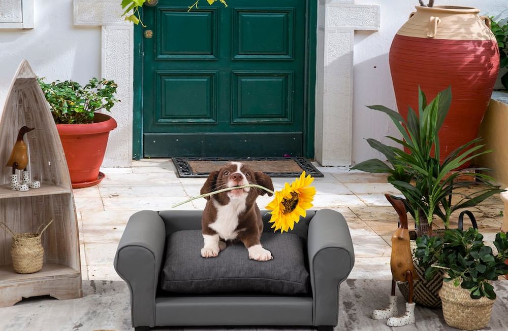 Un hogar acogedor para los perri - hijos: consejos de decoración para pet lovers