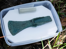 La cabeza de hacha tipo palstave de la Edad del Bronce media que encontró el perro. El artefacto tiene aproximadamente 3.400 años de antigüedad. La cabeza de hacha tipo palstave de la Edad del Bronce media que encontró el perro. El artefacto tiene aproximadamente 3.400 años de antigüedad.