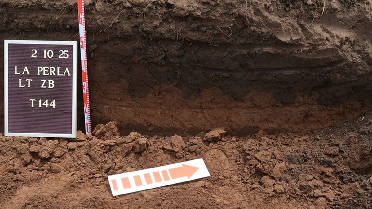 Identificaron a más de diez desaparecidos en el predio del excentro clandestino La Perla