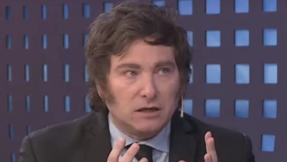 El diputado y precandidato a presidente por La Libertad Avanza, Javier Milei.