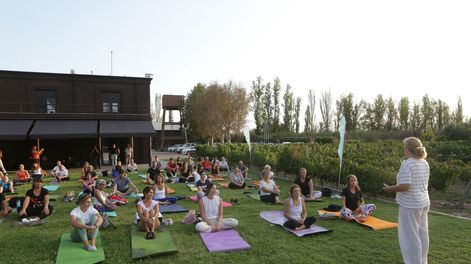 Yoga por los Caminos del Vino cierra el 2025 este sábado, en Bodega Antigal, con una experiencia de bienestar entre viñedos