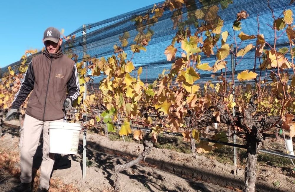 Comenzó el pago a contratistas del Fondo Compensador Agrícola