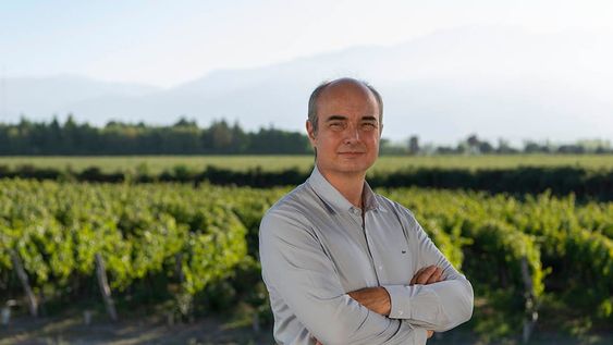 El flamante presidente de Fecovita sostiene que es necesario trabajar en mejorar los rendimientos. Además, asegura que se van a enfocar el crecimiento del mix de productos de la empresa.