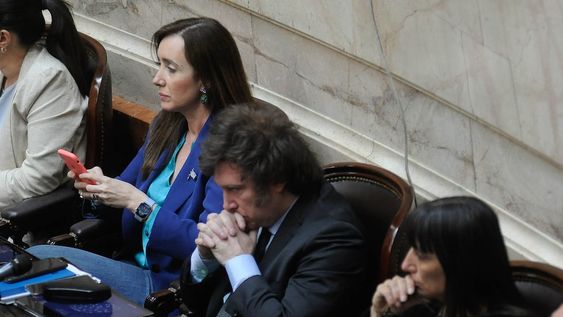 El diputado nacional y presidente electo Javier Milei (Foto: Federico López Claro)