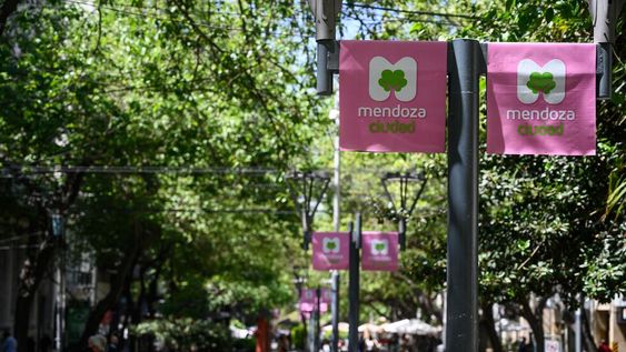 La Ciudad realizará diversas acciones de concientización por el #MesRosa