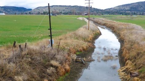 Los Andes | MFQTMYJZGMZDCOJWGQ2TAZBTGU.jpg?quality=75&smart=true&auth=34bd7fe85dc7e342be2bc5b8309eaa852f228c24d86e3dfe80a776db1b0c5522&width=980&height=640