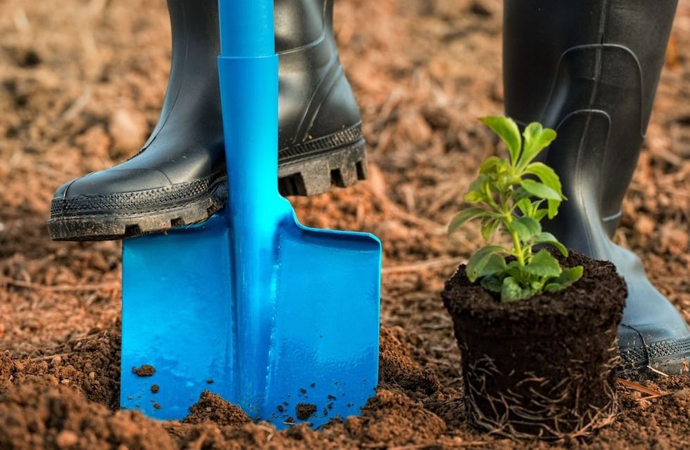 Primavera: 5 trucos para renovar tu jardín