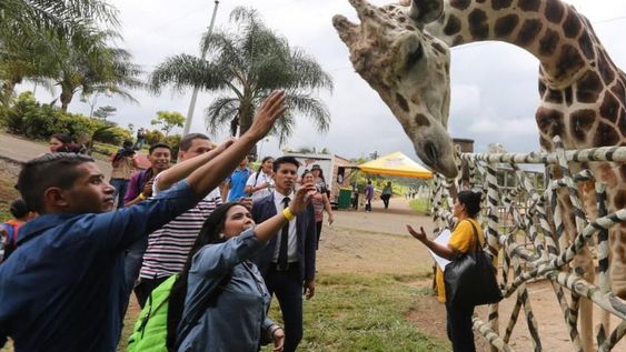 Big Boy era la estrella para los niños que visitan el zoológico Joya Grande, situado en un predio rural ubicado 150 km al norte de Tegucigalpa. Gentileza: El Heraldo.
