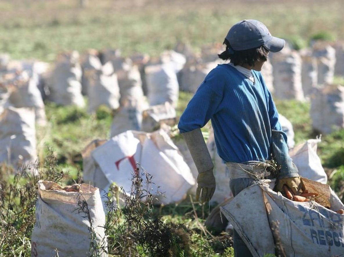 Trabajo y planes sociales: el pedido que hacen desde la Uatre