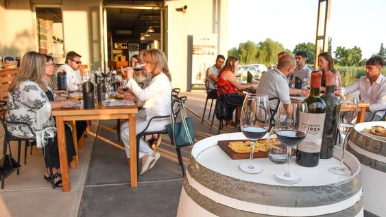 Cuatro circuitos gastronómicos nacionales para disfrutar el próximo fin de semana largo: ¿Dónde ir en Mendoza? / Foto: Mariana Villa / Los Andes