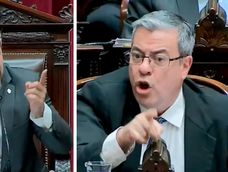 Tensión en Diputados: fuerte cruce entre Menem y Martínez por la reforma del Banco Central.