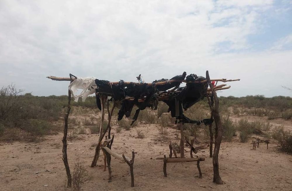 A 140 km de la ciudad capital, los habitantes del secano lavallino reclaman una urgente solución al deficiente servicio de transporte público de pasajeros.