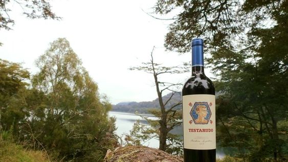 Testarudo, de Bodega Pumalek, un vino para soñadores “cabezaduras”