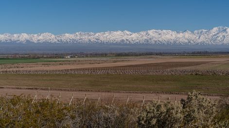 El nuevo horizonte del lujo sustentable: vivir y producir en el corazón del Valle de Uco