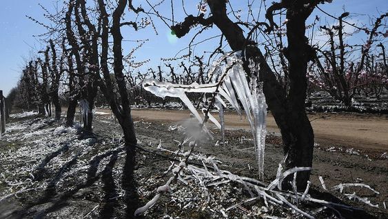 En las próximas horas ingresará un frente frío a Mendoza que hará sentir el rigor del invierno. Imagen de archivo. Claudio Gutierrez  Los Andes