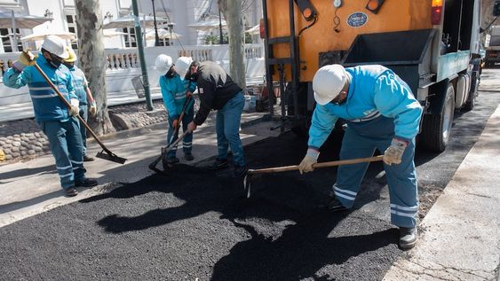 Esta semana la Ciudad desarrollará un nuevo cronograma de trabajos en arbolado y bacheo