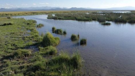 Educación para la biodiversidad: conservación de la diversidad biocultural