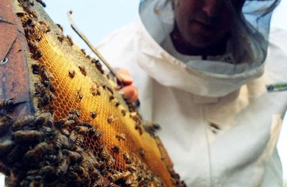 El Gobierno redujo a cero los derechos de exportación para unos 70 productos agroindustriales de exportación provenientes de las economías regionales -  Archivo / Los Andes