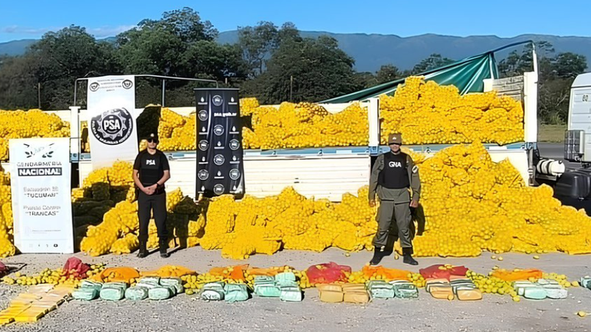 Secuestran más de 100 kilos de marihuana y cocaína ocultas entre un cargamento de limones en Tucumán