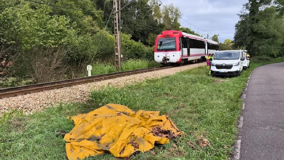 un tren atropello a una vaca, que dio a luz tras el impacto y provoco el hallazgo de un cadaver humano