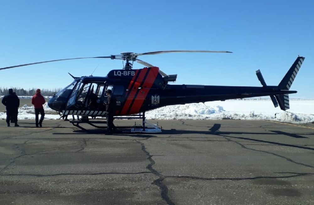 Nevada fatal en Malargüe: un puestero murió aplastado por las ramas con que protegía a sus caballos