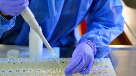 El instituto científico busca establecer si el coronavirus mutó en nuestro país.