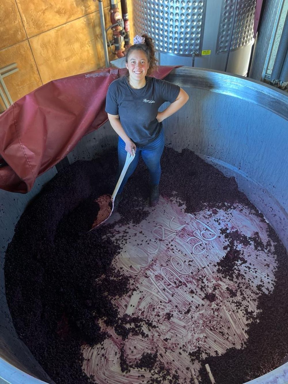 Quién es la enóloga mendocina que brilla en Estados Unidos con sus vinos y reconocimientos