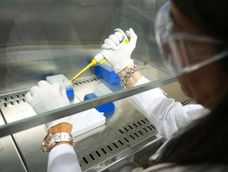 en aconcagua radio, la cientifica mendocina premiada por la fundacion bunge & born en aconcagua radio, la cientifica mendocina premiada por la fundacion bunge & born