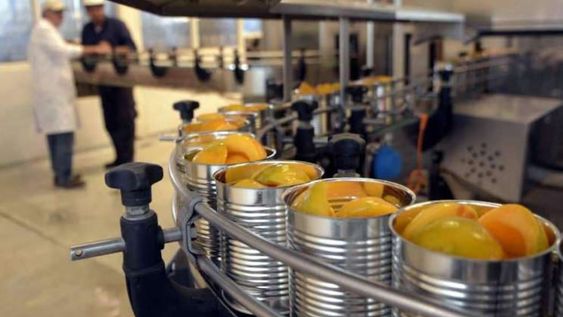 Mendoza se producen al año al menos 100 millones de latas de durazno industria.