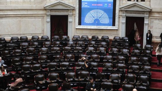 En Diputados no hubo quórum para tratar el presupuesto de las universidades. (Federico López Claro / Corresponsalía)