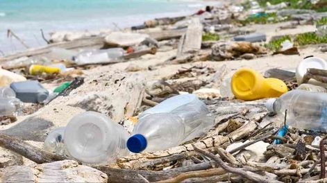 El hombre ha sido responsable por la invasión de plásticos en los mares pero también quien está buscando soluciones al problema.
