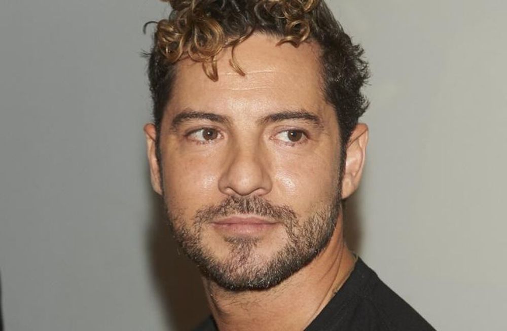 Feliz por la llegada del inminente verano, David Bisbal compartió un tierno video con su perrito y sin ropa a la vista