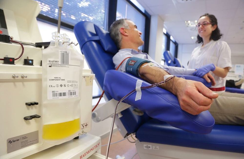 Vacunación contra el Covid-19 y donación de sangre y plasma: lo que hay que saber